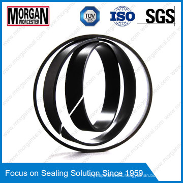 Fra/Gp Profile PTFE/Teflon Piston Guide Ring Seal/Wear Ring